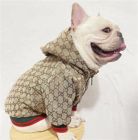 gucci pet black|gucci pet clothes.